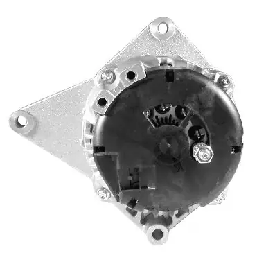 Lichtmaschine Expressversand