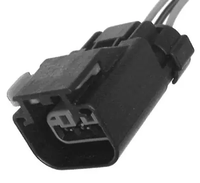 Stecker Jetzt Kaufen
