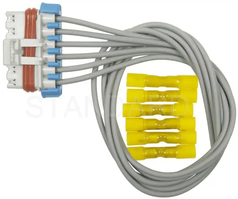 Beliebt Stecker