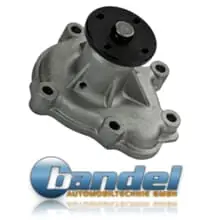 WASSERPUMPE+DICHTUNG passend für FORD ESCORT 3 4 FIESTA 2 ORION 1.6 D DIESEL Günstig