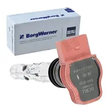 BORGWARNER (BERU) ZÜNDSPULE ZÜNDMODUL passend für AUDI A4 A6 A8 ZSE051 Neue Kollektion