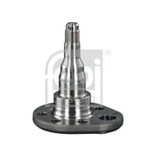 FEBI BILSTEIN Achszapfen, Achskörper 18348 Sonderangebot