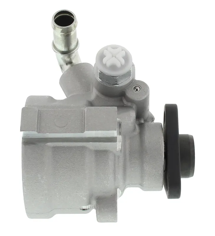 Hydraulikpumpe, Lenkung, ALFA ROMEO, FIAT, LANCIA Meistverkauft