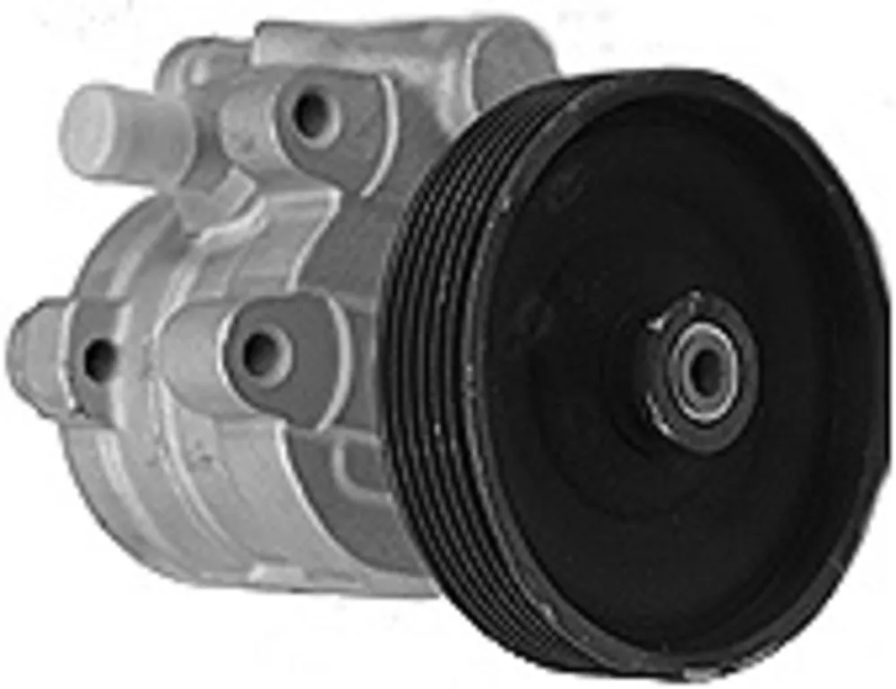 Neu Im Sortiment Hydraulikpumpe, Lenkung, RENAULT