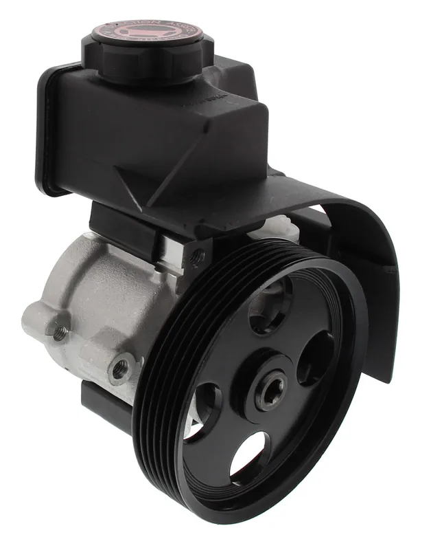 Hydraulikpumpe, Lenkung, CITROËN, PEUGEOT Versand Am Gleichen Tag