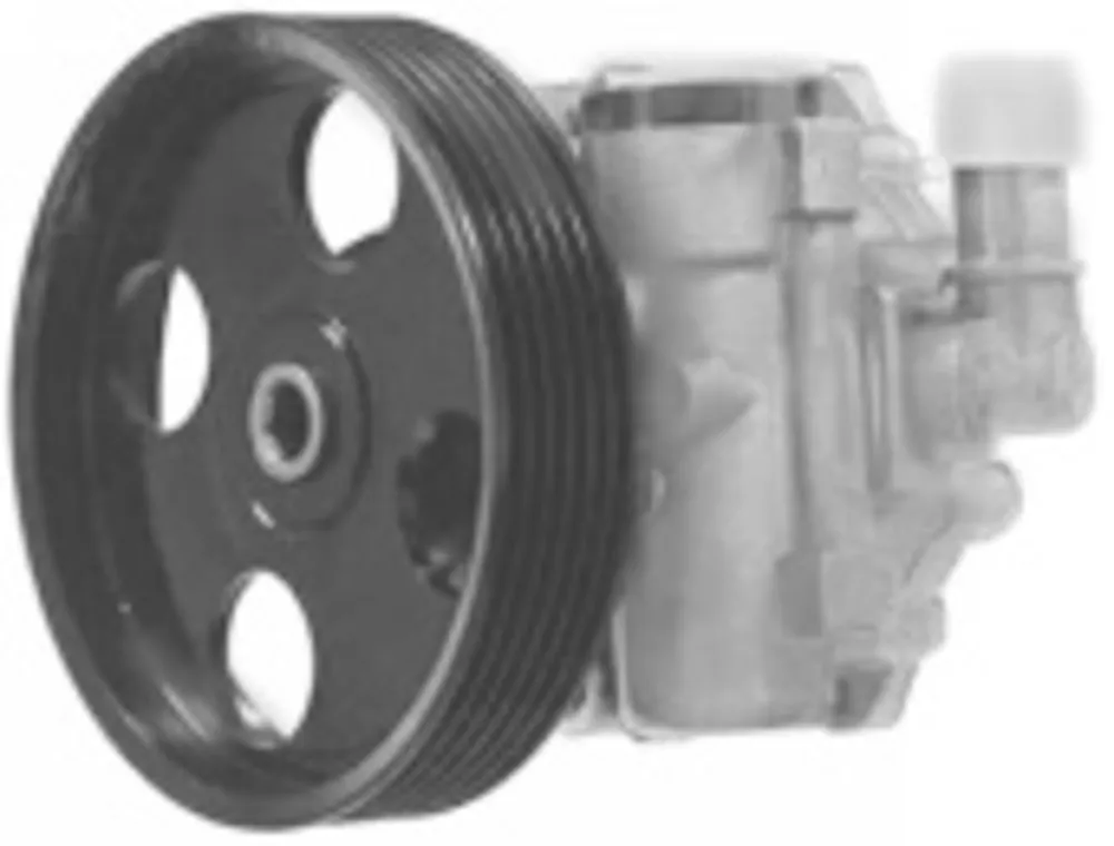 Preiswert Hydraulikpumpe, Lenkung, PEUGEOT
