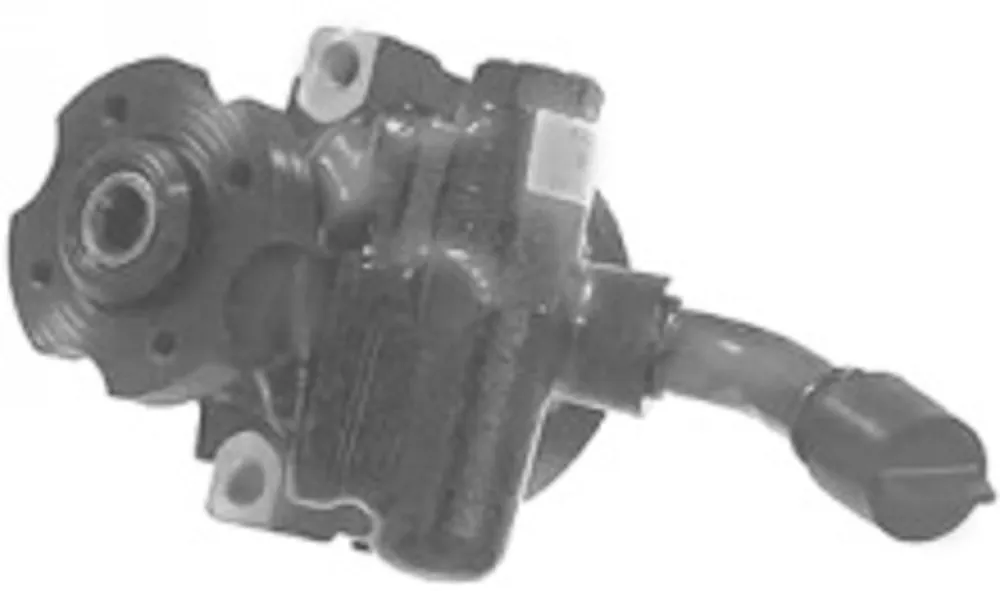 Garantierte Lieferung Hydraulikpumpe, Lenkung, CITROËN, PEUGEOT
