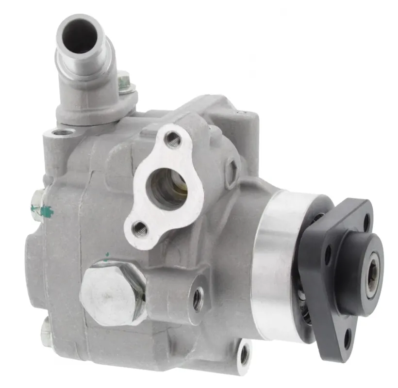 Letzte Chance Hydraulikpumpe, Lenkung, VW