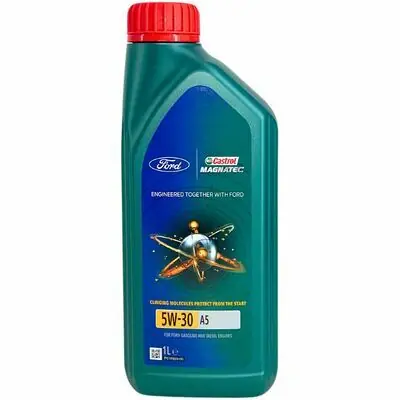 Sichere Zahlung Castrol Magnatec 5W-30 A5
